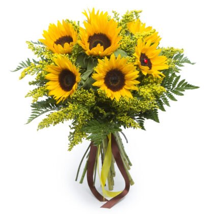 Sunflowers (Helianthus)