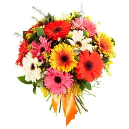 Gerberas mix