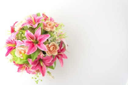 Pink harmony