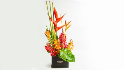 Tropical Passion