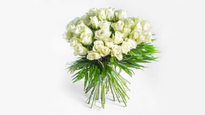 51 White Roses