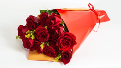 Bouquet with 12 explorer roses