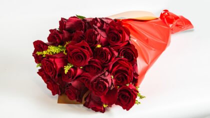 Bouquet with 24 explorer roses