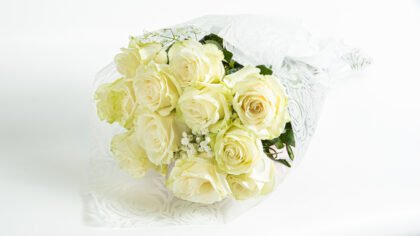 Bouquet with 12 Mondial Equador roses