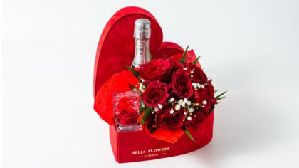 Velvet Heart with roses & martini 200ml & diamond red rose