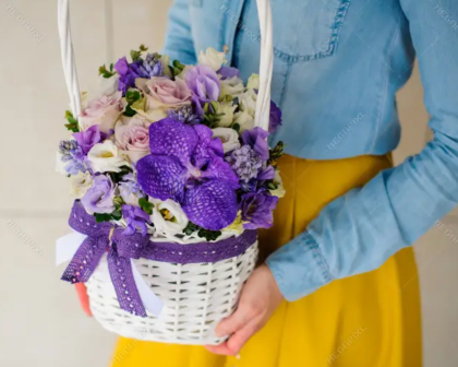 Vanda mix basket