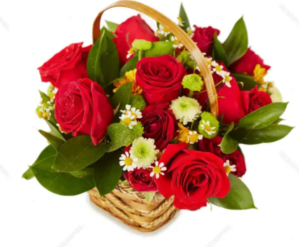 Red mini basket