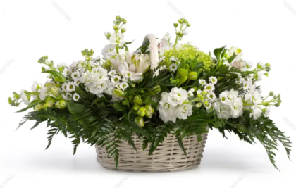 White basket